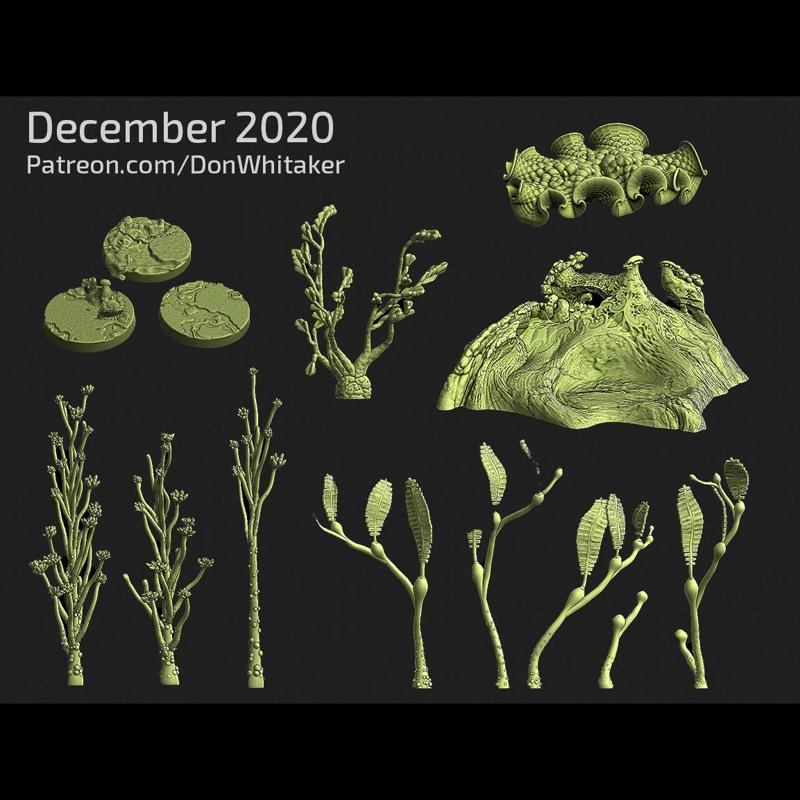 Undersea Plants and Aquatic Terrain