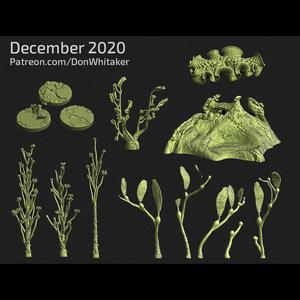 Undersea Plants and Aquatic Terrain