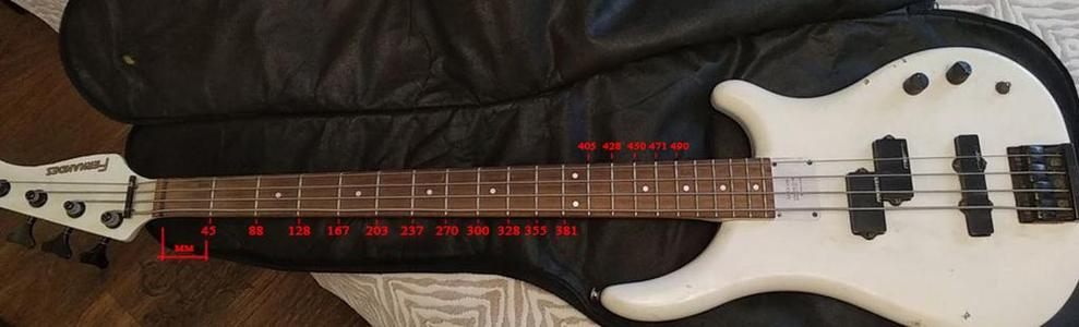 Bass guitar lineup