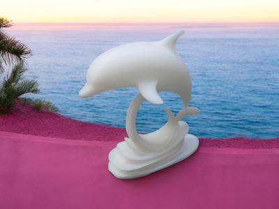 jumping dolphin