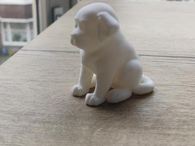 a fat puppy