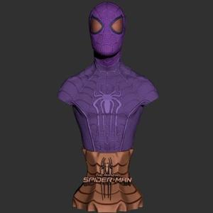 The Amazing Spider Man Bust - Rereading