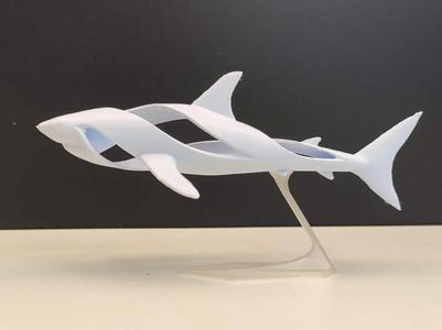 Whirpool Shark