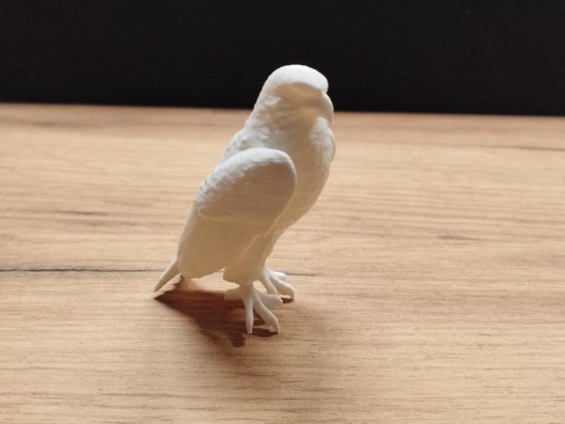 Eagle sculpture