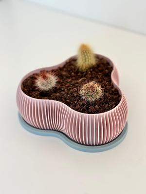 MOSSIE triple sucullent planter