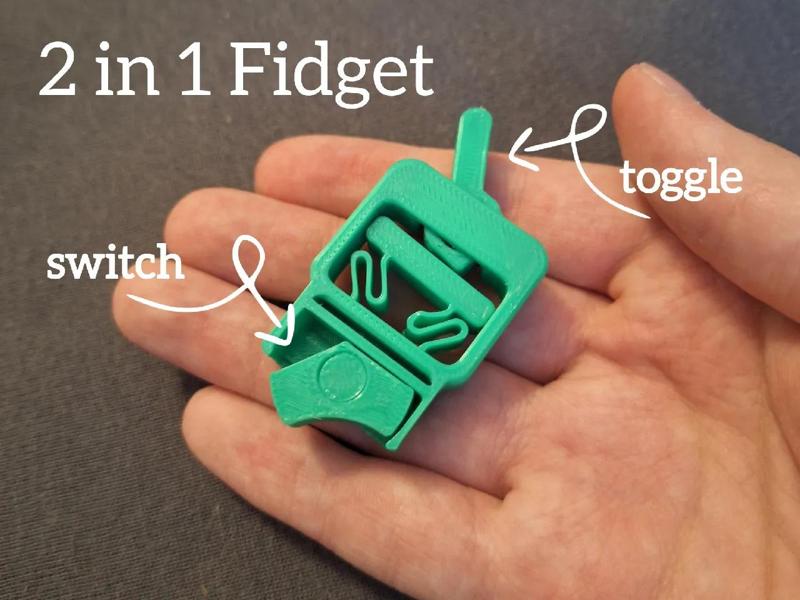 Switch & Toggle - 2 in 1 Fidget   