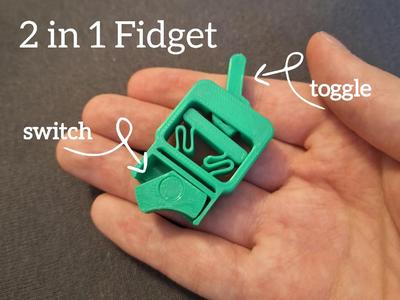 Switch & Toggle - 2 in 1 Fidget   