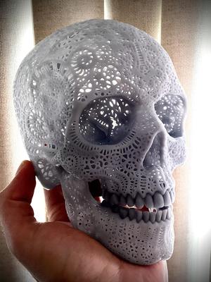 Filigree Anatomical Skull - Pre-supported STL