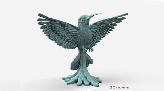 colibri humming bird