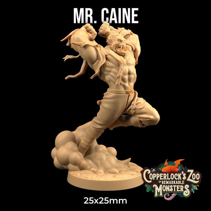 Mr. Caine