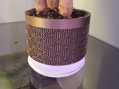Hexagon Patterned Pot - With Drainage and Dish