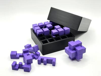 25-Piece Burr Puzzle Set with Box   