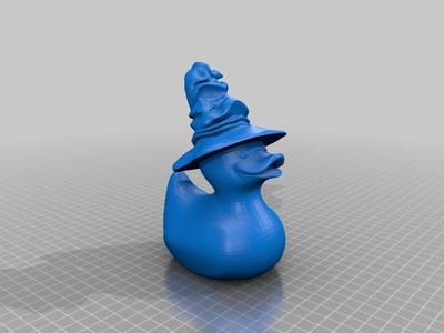 Wizard Sorting Duck