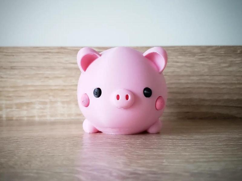 Cute little pig