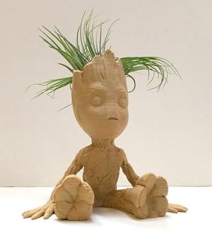 Baby Groot Air Plant Planter