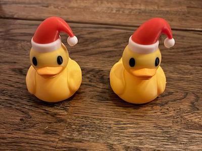 Santa duck Multicolor
