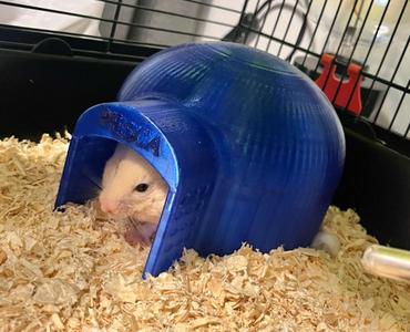 HOME-STER Hamster house