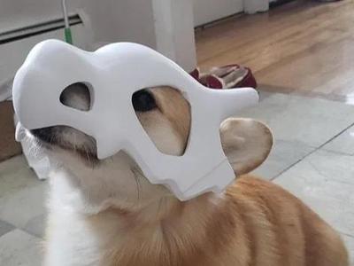 Marowak Mask Helmet Pet Mask Helmet