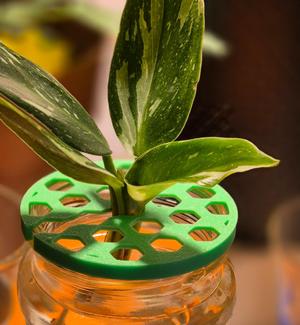 Plant Cutting Helper
