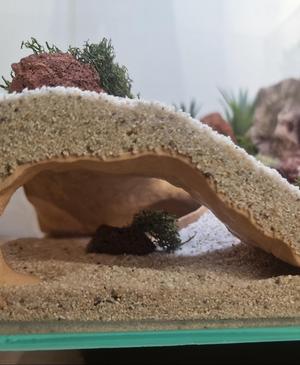 Riptide Aquarium & Terrarium Cave - Hide | Terrarium Decoration | Fish Tank Wave form Cave