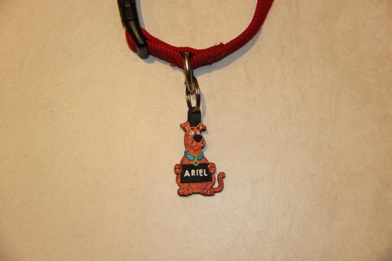 Scooby-Doo tag for your dog leash