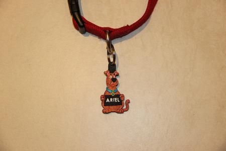 Scooby-Doo tag for your dog leash