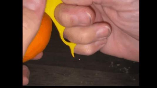 Orange Peeler