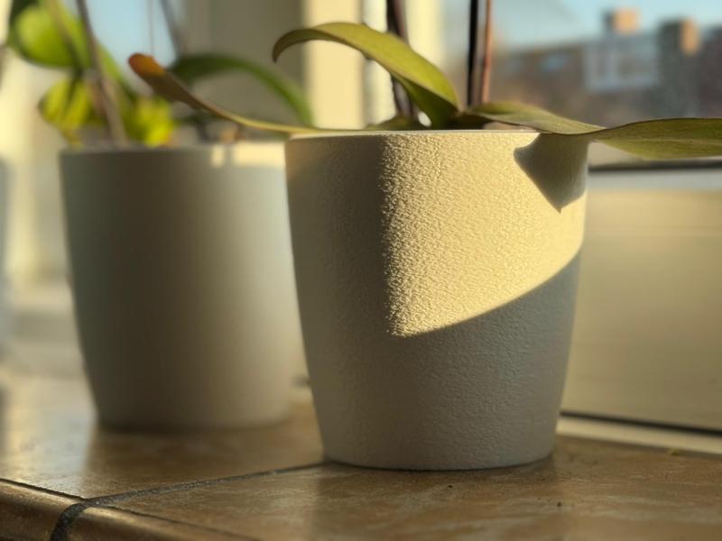 Small Orchid Vase