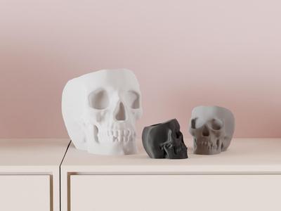 Skull Plant Pot. Halloween themed planter