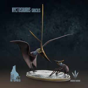 Nyctosaurus gracilis : Display