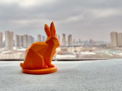 Rabbit-cyberpunk