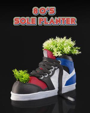 80 s Sole Planter
