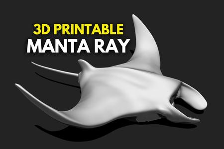 Manta Ray - Mantas - 3D Print - Aquarium