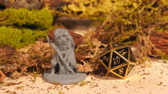 Dragonborn - Tabletop Miniature