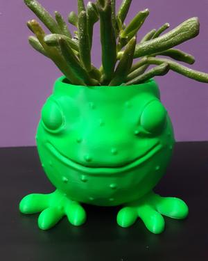 Frog Planter - Support Free