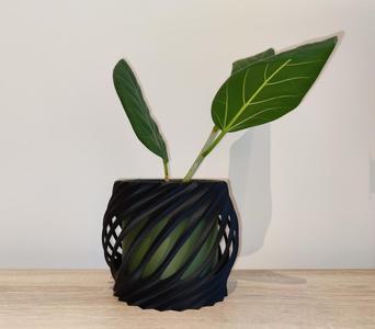 See-Through Swirl Flower Pot