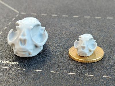 Cat skull