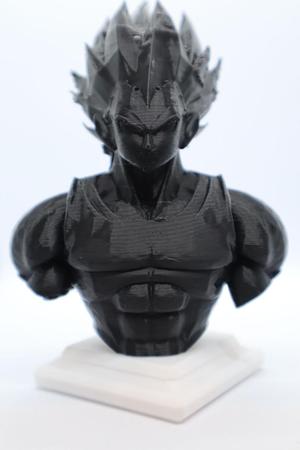 Vegeta Bust