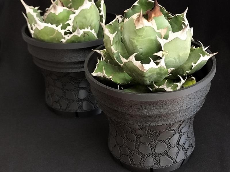 Agave plant pot / z021-mesh120 亀甲積み鉢