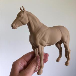 Practice Horse