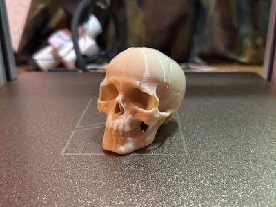 Mini Skull
