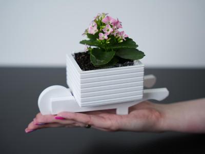Flower Wheelbarrow