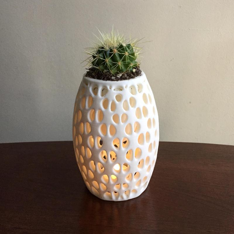 Suspended Vase
