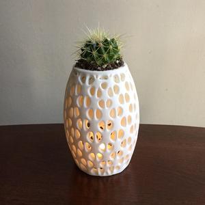 Suspended Vase