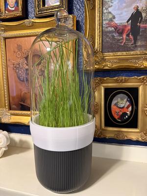 Mini greenhouse using Ikea Morgontidig bell cloche to Gradvis flower pot adapter