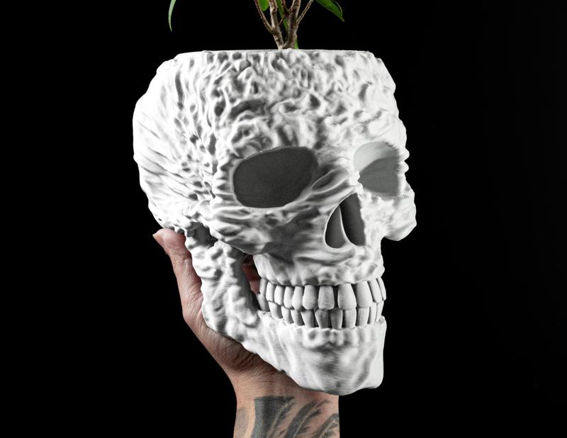 Skull Planter Pot by MODERN MACHINE