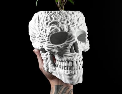 Skull Planter Pot by MODERN MACHINE