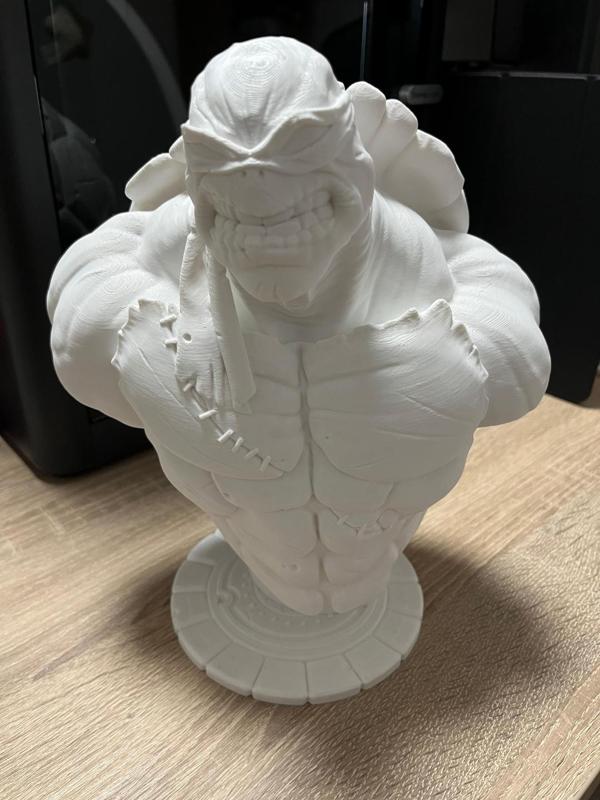 TMNT bust (fan art)