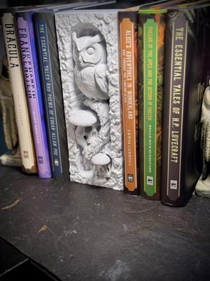 Owl skull booknook