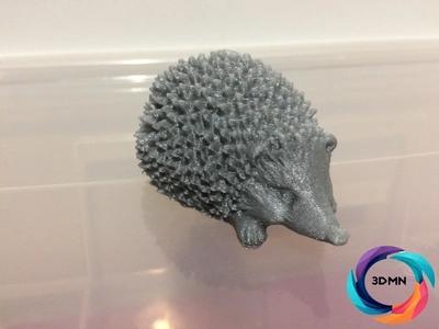 Cute Hedgehog